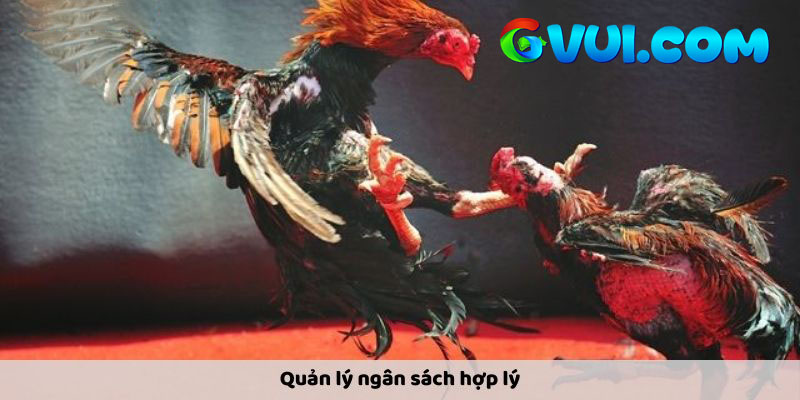 Quản lý ngân sách hợp lý